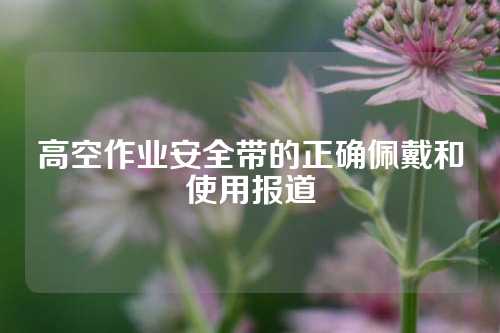 高空作业安全带的正确佩戴和使用报道