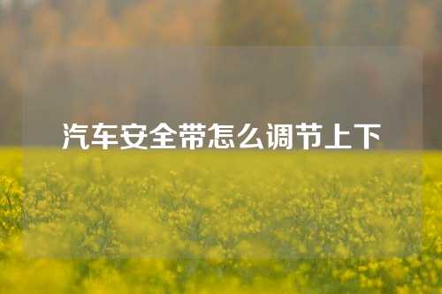 汽车安全带怎么调节上下