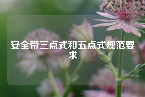 安全带三点式和五点式规范要求