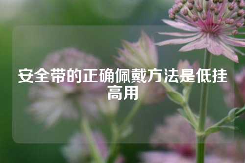 安全带的正确佩戴方法是低挂高用