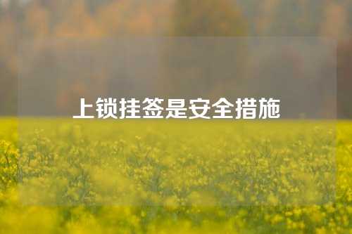 上锁挂签是安全措施