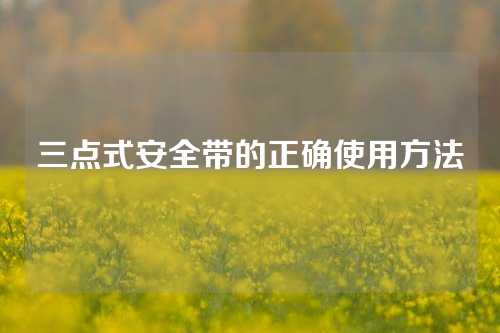 三点式安全带的正确使用方法