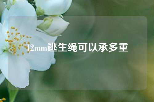 12mm逃生绳可以承多重