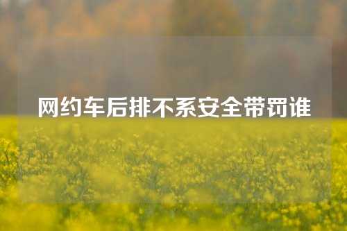 网约车后排不系安全带罚谁