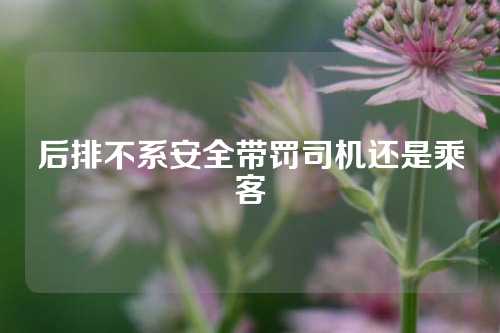 后排不系安全带罚司机还是乘客